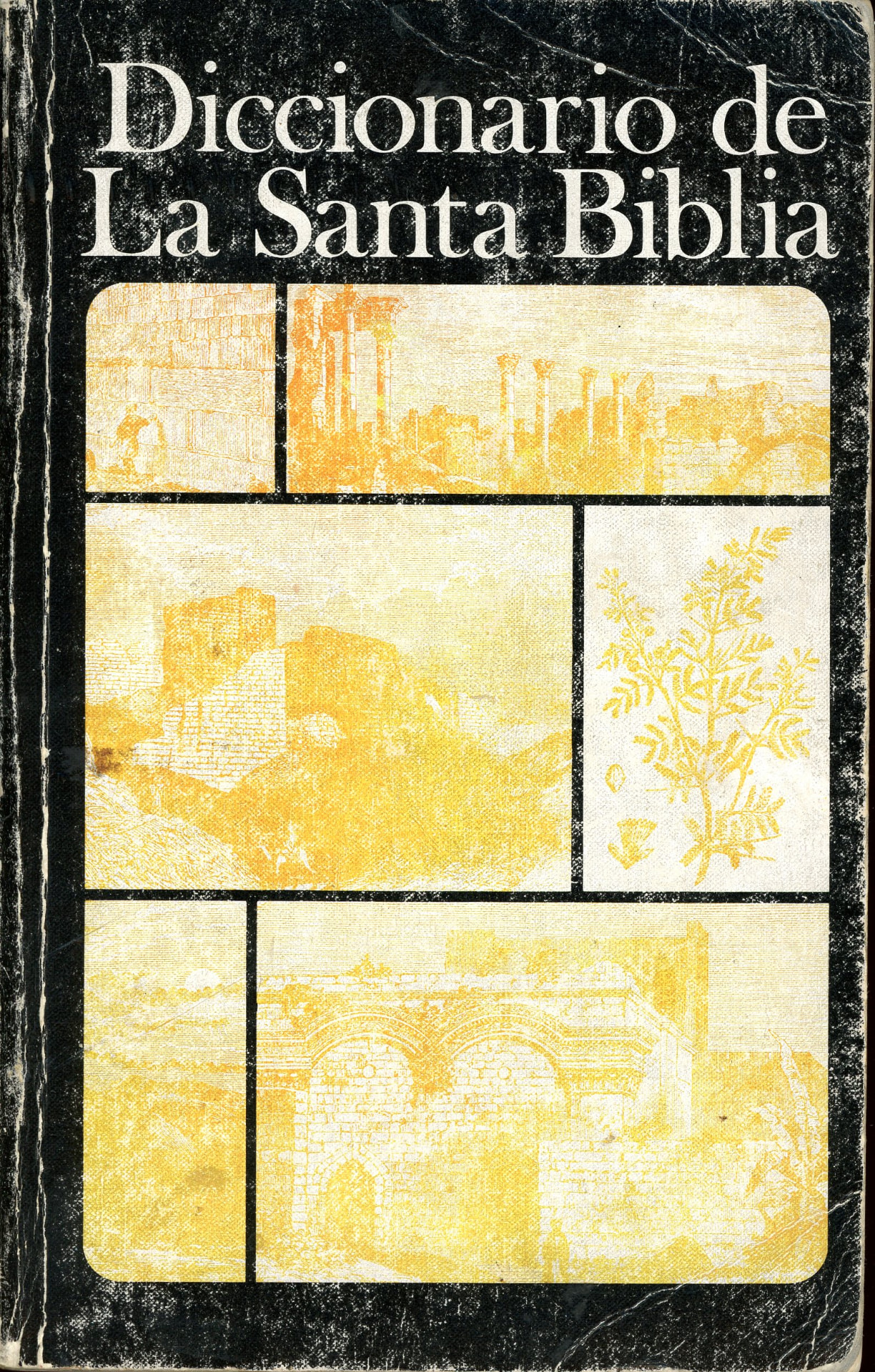 Portada del libro «Diccionario de La Santa Biblia»