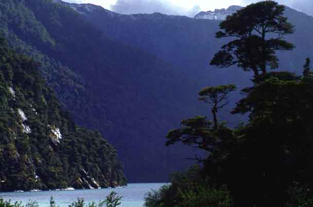 Paisaje de montaña y lago registrado durante un viaje